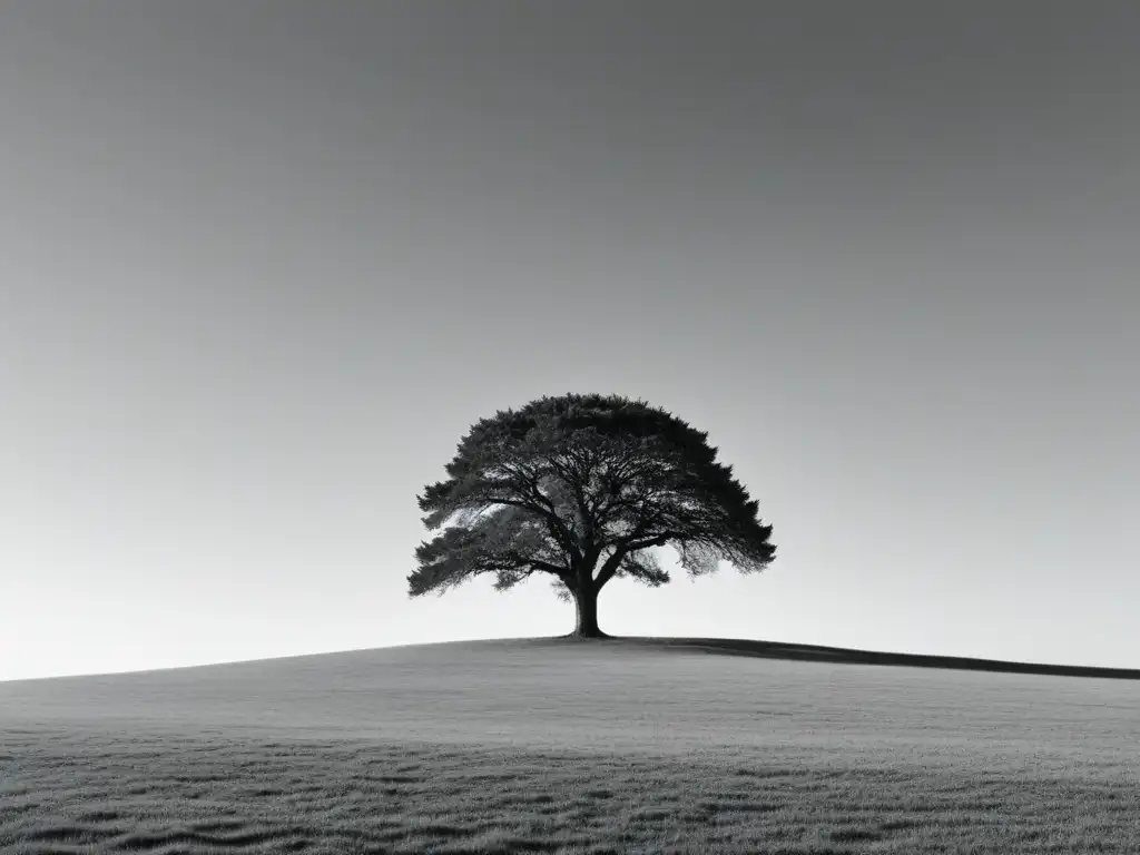 Un árbol solitario destaca en un campo vacío bajo un cielo claro