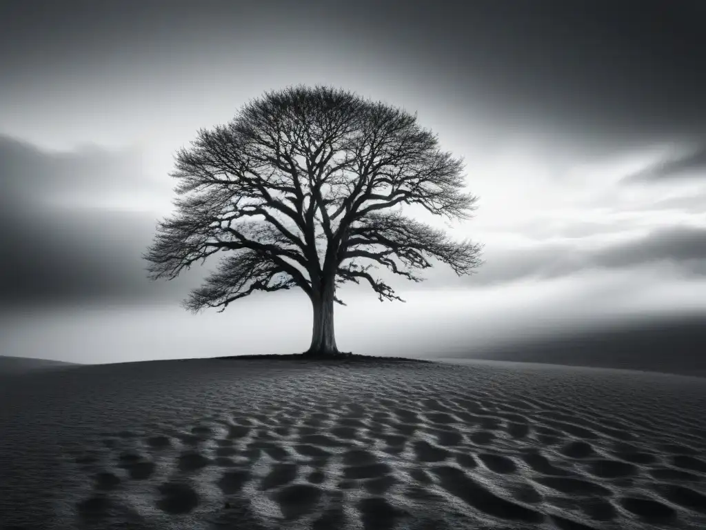 Un árbol solitario se alza en un paisaje desolado, simbolizando la resistencia de la naturaleza