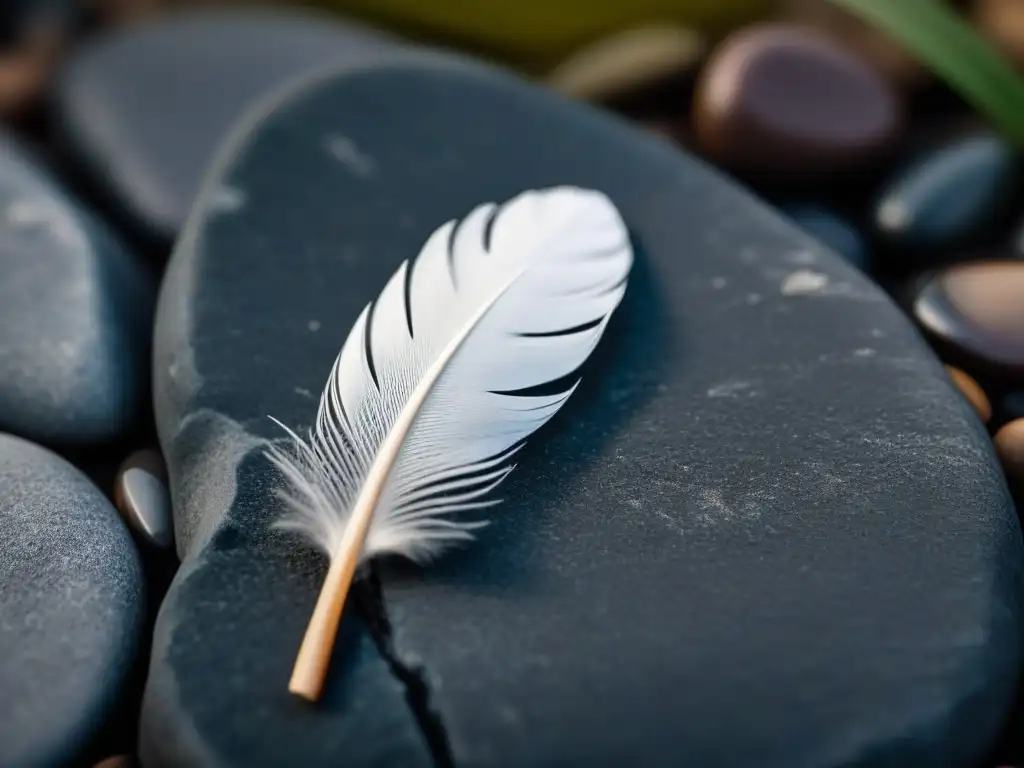 Un delicado equilibrio entre la pluma blanca y la piedra oscura simboliza la sanación a través de la poesía terapéutica