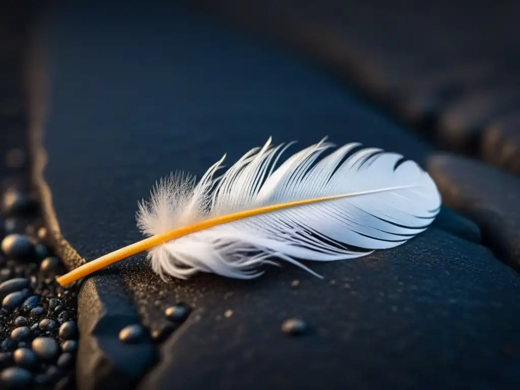 Detalle de una pluma blanca sobre piedra oscura: silencio y poesía se entrelazan en esta imagen de serenidad