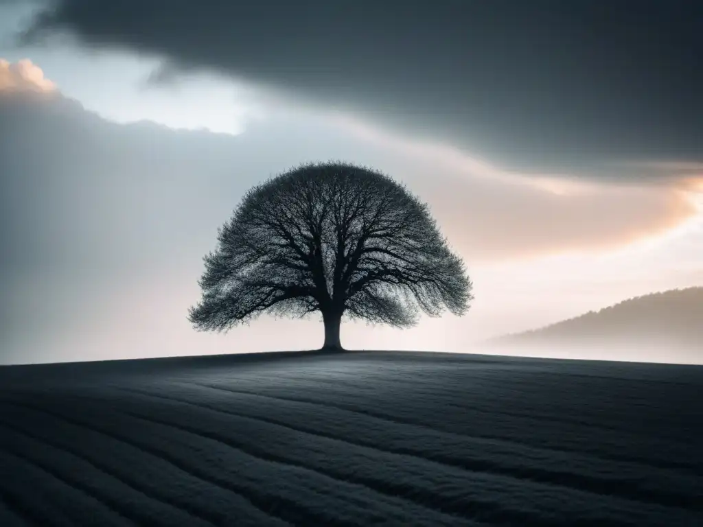Invocación de la Naturaleza en Poesía: Un árbol solitario destaca en un campo vacío bajo un cielo dramático