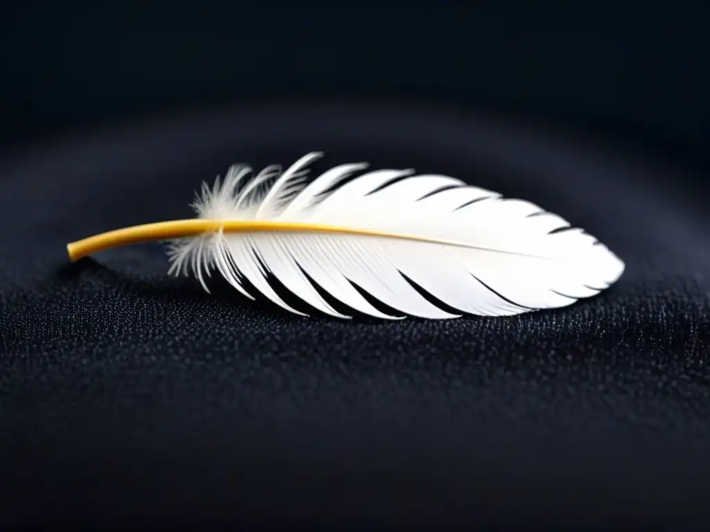 Una pluma blanca equilibrada sobre un fino y detallado plumín de plata, en un fondo de terciopelo negro