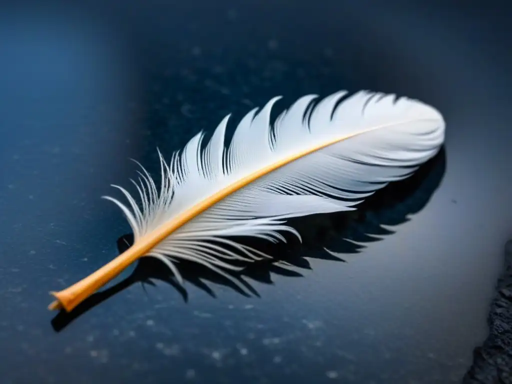 Una pluma blanca delicadamente equilibrada sobre una superficie de granito oscuro, realzando la poesía como herramienta de transformación