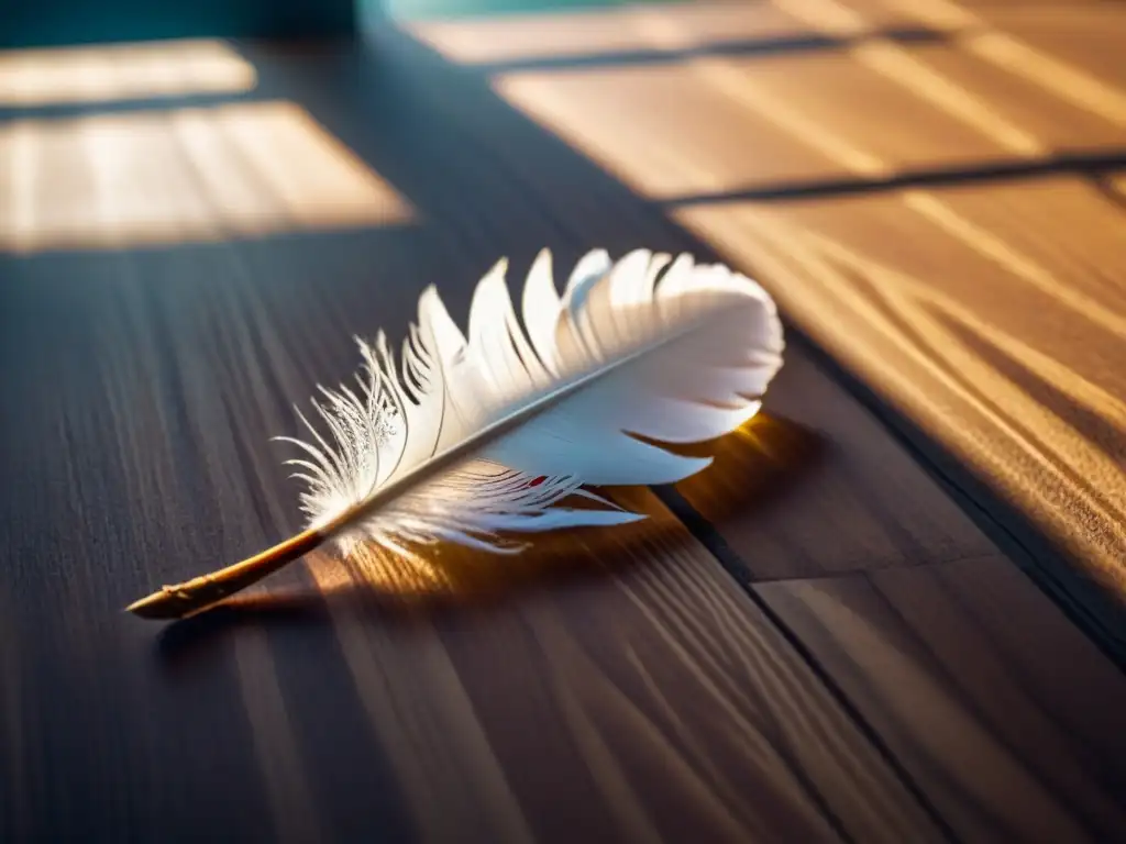 Una pluma solitaria flotando en un cuarto soleado, proyectando una sombra delicada