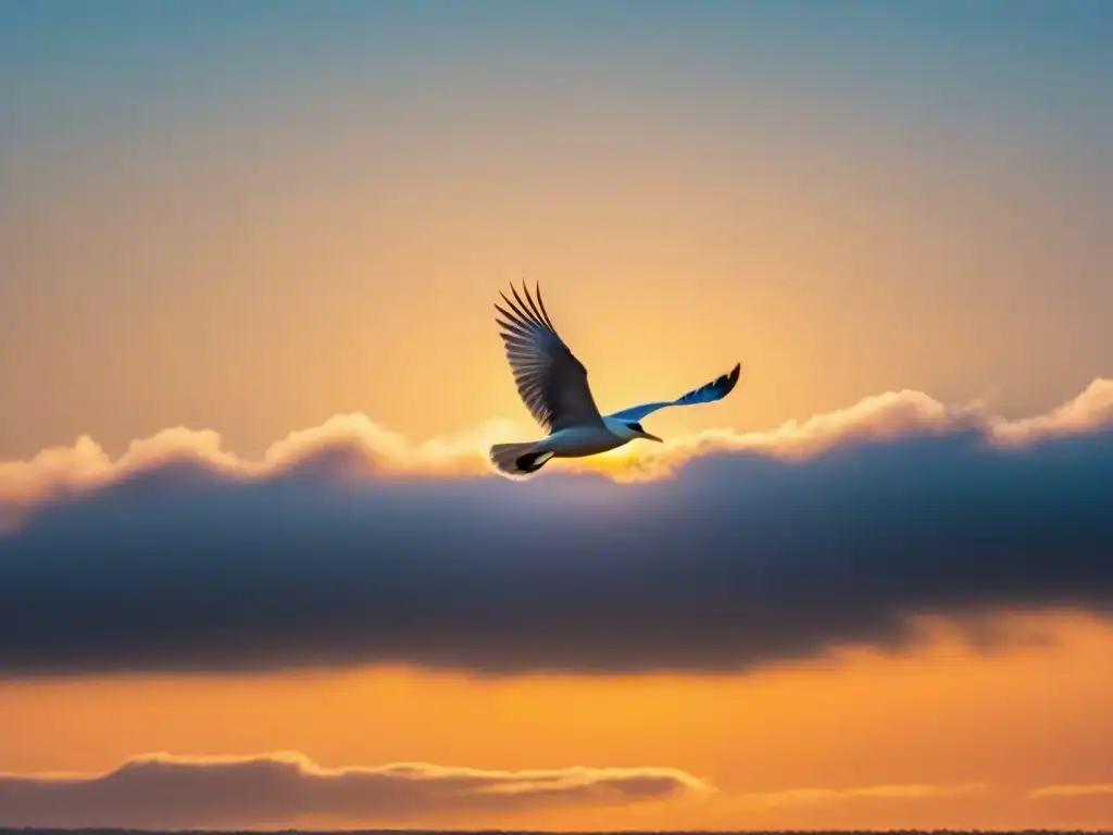 Una poesía de conservación de especies aves: silueta de pájaro en líneas delicadas, simbolizando gracia y libertad en un amanecer